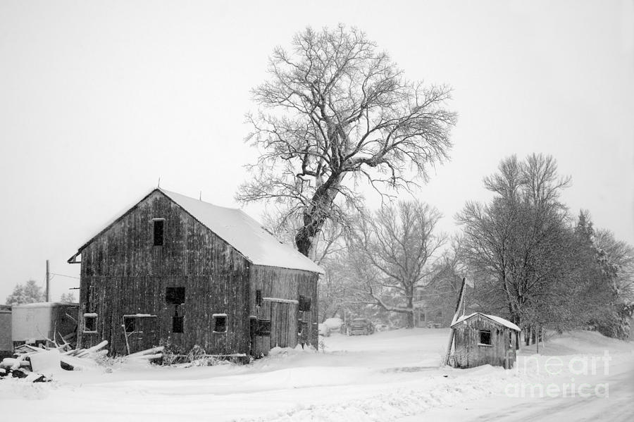 Farm in Winter 9556 Photograph by Ken DePue