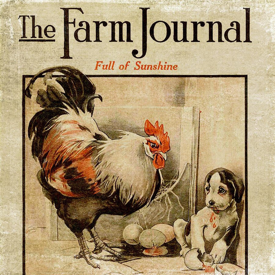 Farm Journal 1921 Mixed Media by Bonnie Bruno