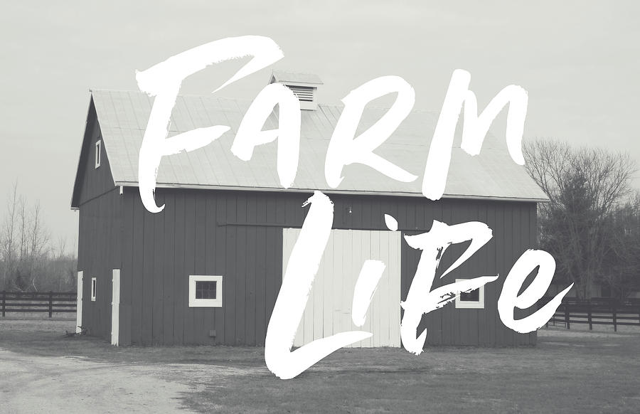 Farm Life Barn- Art by Linda Woods Mixed Media by Linda Woods