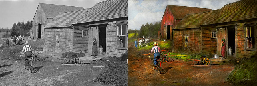 Horse Photograph - Farm - Life on the farm 1940s - Side by Side by Mike Savad