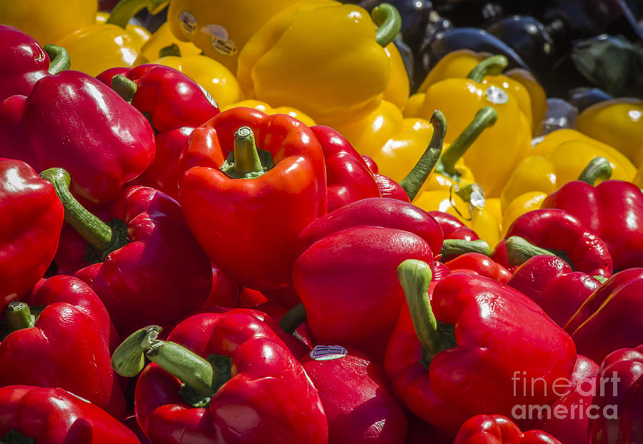 Farm Market Peppers Photograph by Joann Long