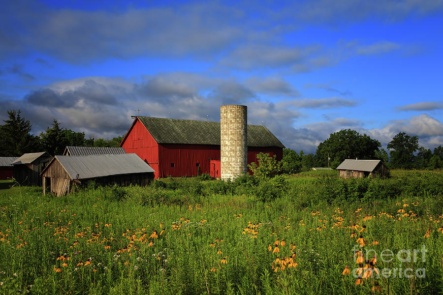 Farm Morning Photograph by Rachel Cohen