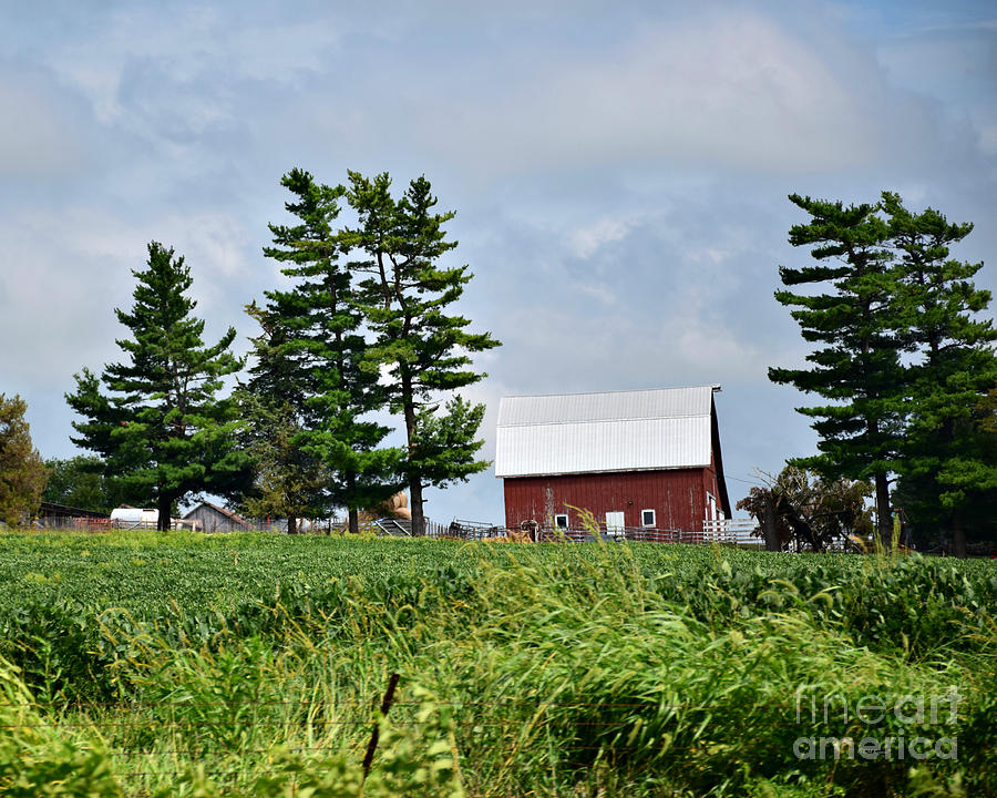 Farm Near Shenandoah Photograph by Kathy M Krause