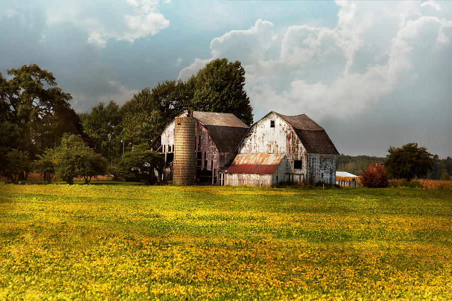 Vintage Photograph - Farm - Ohio - Broken dreams by Mike Savad