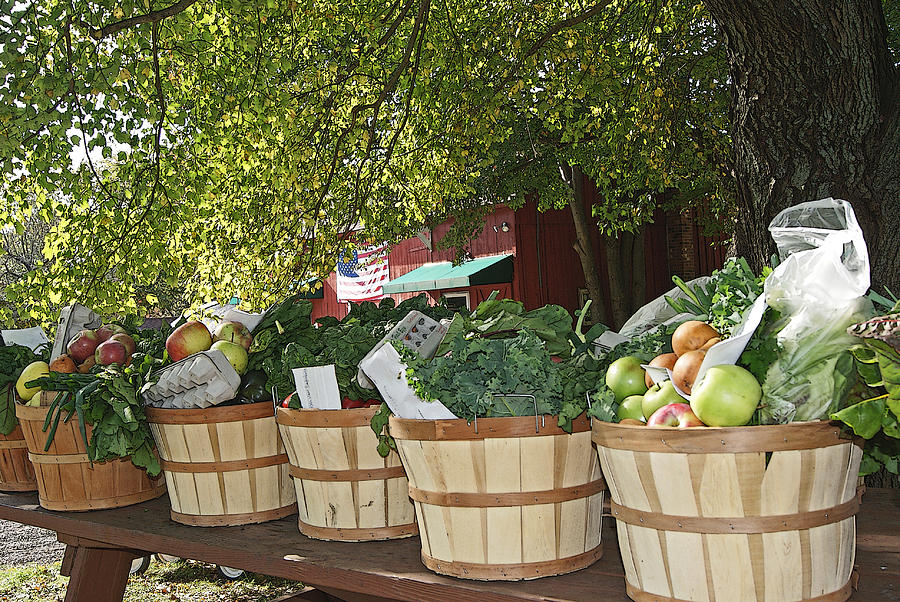 Farm Picked Groceries Photograph by Margie Avellino