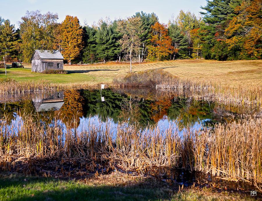Farm Pond Photograph by John Meader
