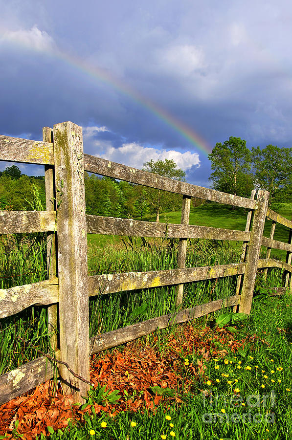 Farm Rainbow Photograph by Thomas R Fletcher