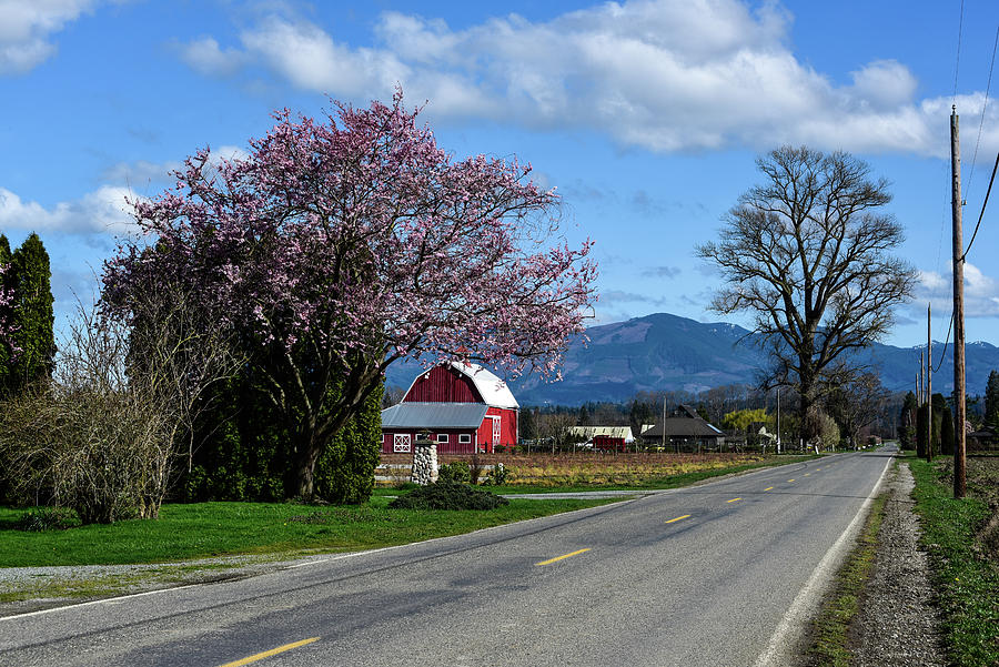 Farm Road in Spring Photograph by Tom Cochran