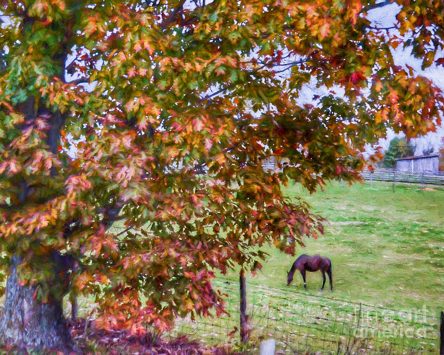 Farm Scene - Horse and Oak Tree Painting by Kerri Farley