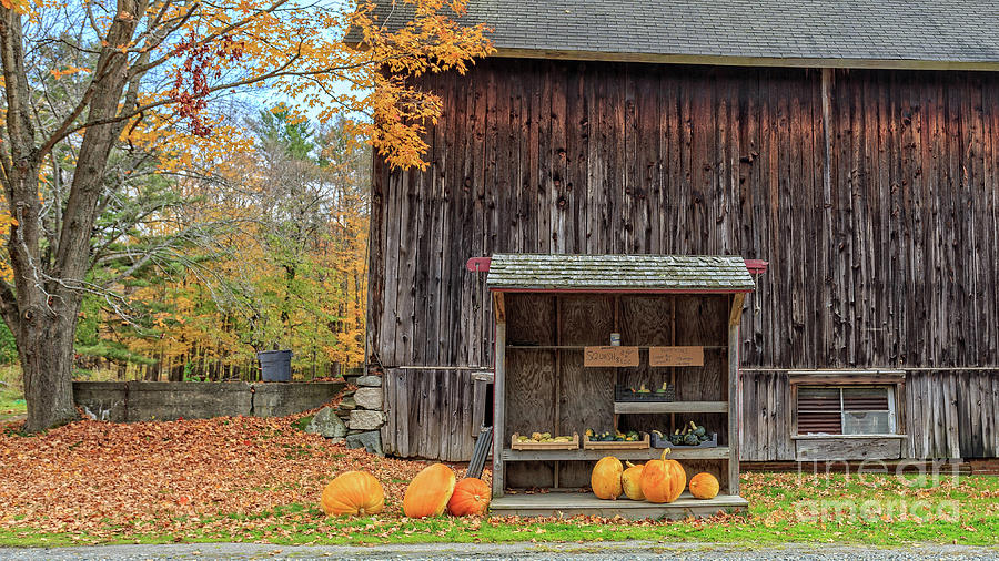 Farm Stand Etna New Hampshire Photograph by Edward Fielding