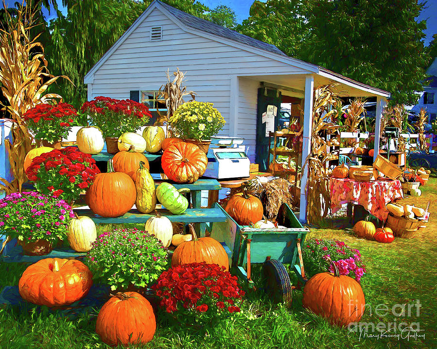 Farm Stand Photograph by Mary Koenig Godfrey - Fine Art America