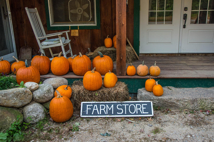Farm Stand with pumpkins, Little Field Farm, Madison, New Hampshire Photograph by Nicole Freedman
