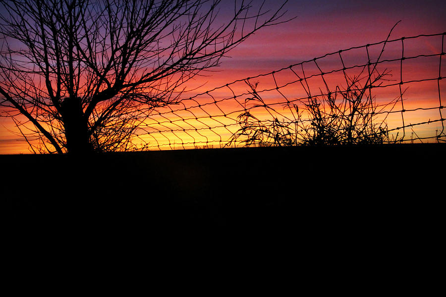Farm Sunrise Photograph by Kathy M Krause
