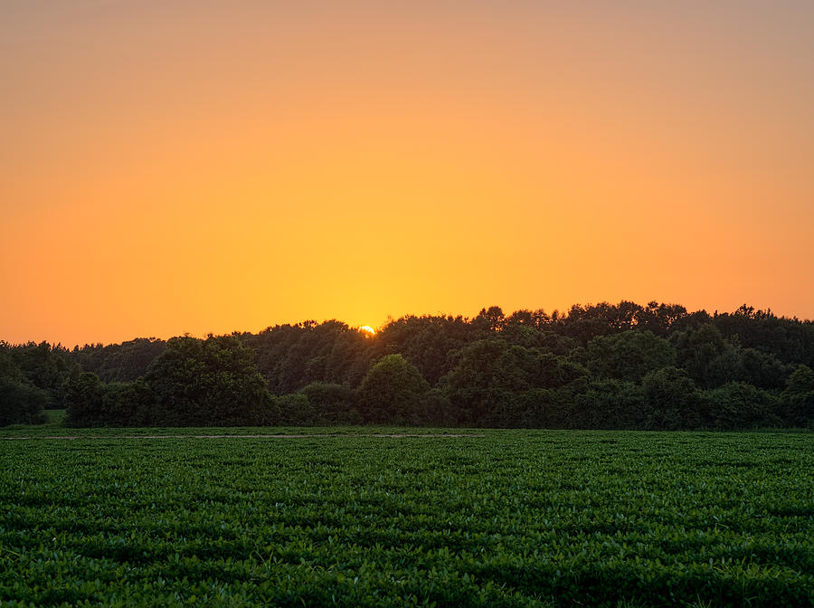Farm Sunset Photograph by Brad Boland