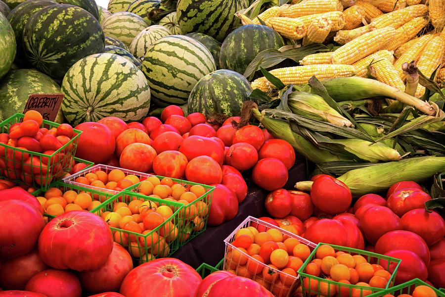 Farm to Market Produce - Melons, Corn, Tomatoes Photograph by Lynn Bauer