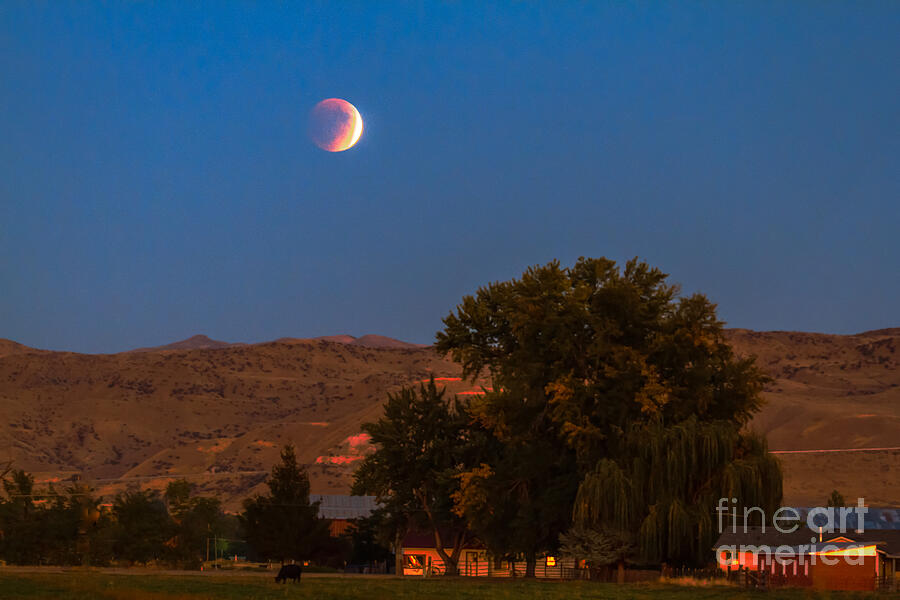Farm View Of Supermoon Eclipse Photograph by Robert Bales
