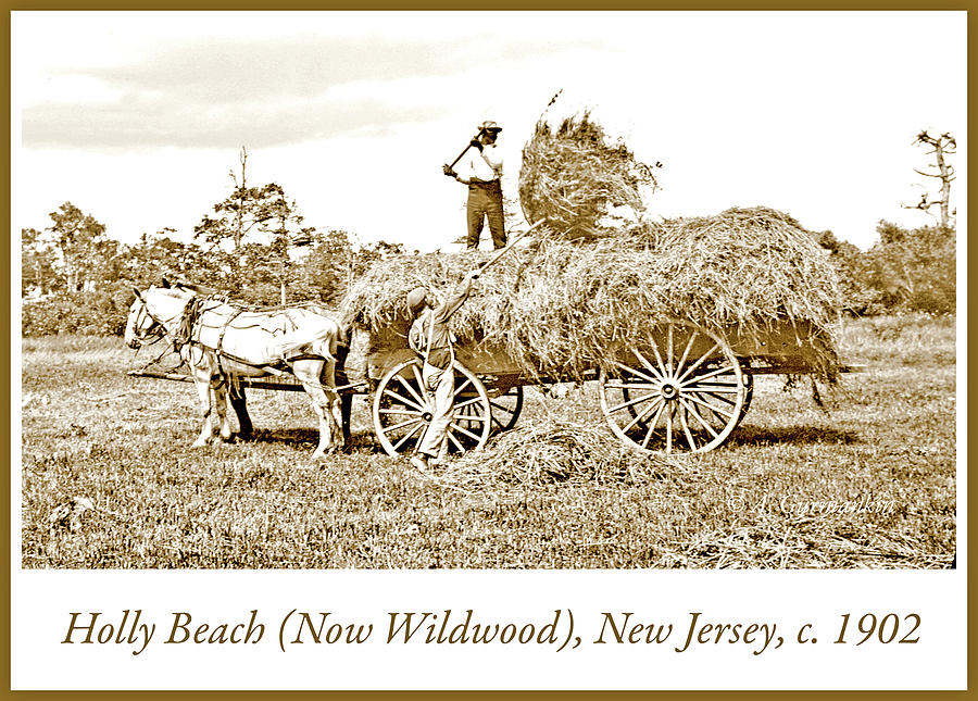 Farm Workers and Horse Drawn Hay Wagon, c.1902, Vintage Photogra Photograph by A Macarthur Gurmankin