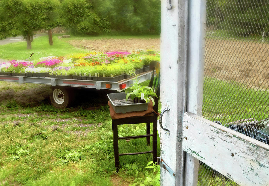 Flower Photograph - Farm Yard Door by Diana Angstadt