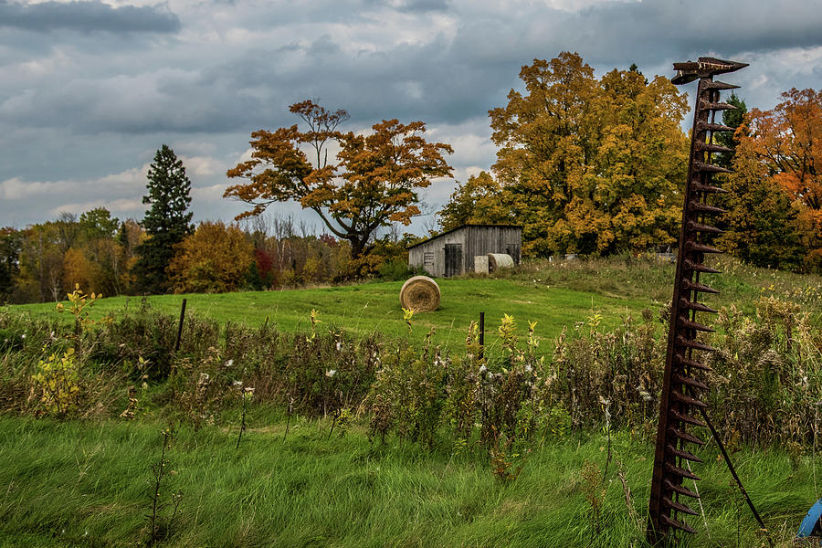 Farm Yard Fall Photograph by Paul Freidlund