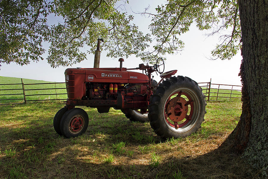 Farmall In The Field 2 Photograph by Mike Eingle