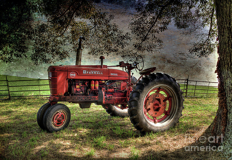 Farmall In The Field Photograph by Michael Eingle
