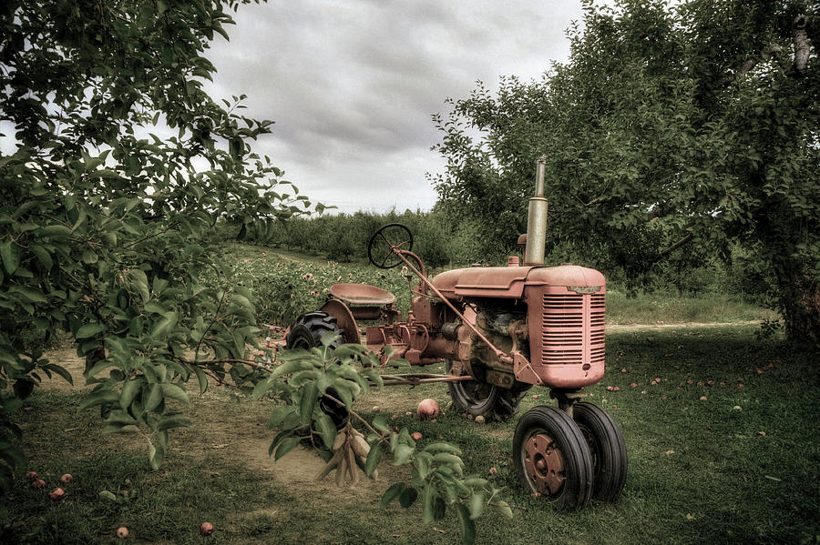 Farmall Tractor on a Farm  Photograph by Joann Vitali
