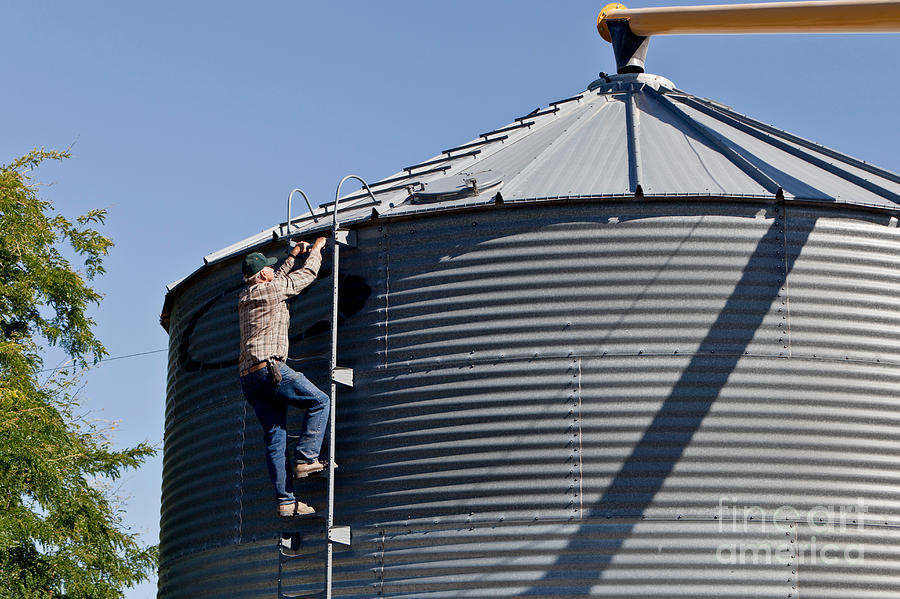 Farmer Climbing Grain Storage Bin Photograph by Inga Spence