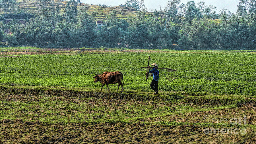 Farmer Daily Life Vietnam  Photograph by Chuck Kuhn