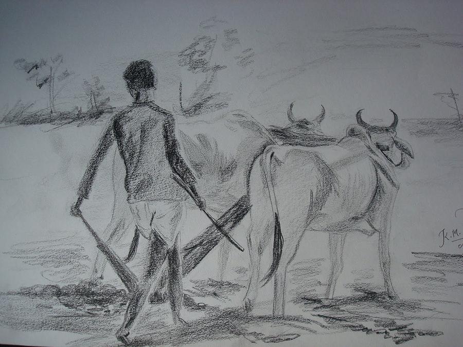 Image of Sketch Of Farmer Working With A Cow In A Agricultural Field And  Village Or Rural Environment Outline Editable Illustration-LT030390-Picxy