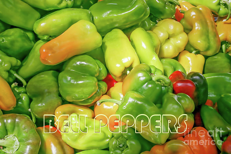 Farmers Market - Bell Peppers Photograph by Gabriele Pomykaj
