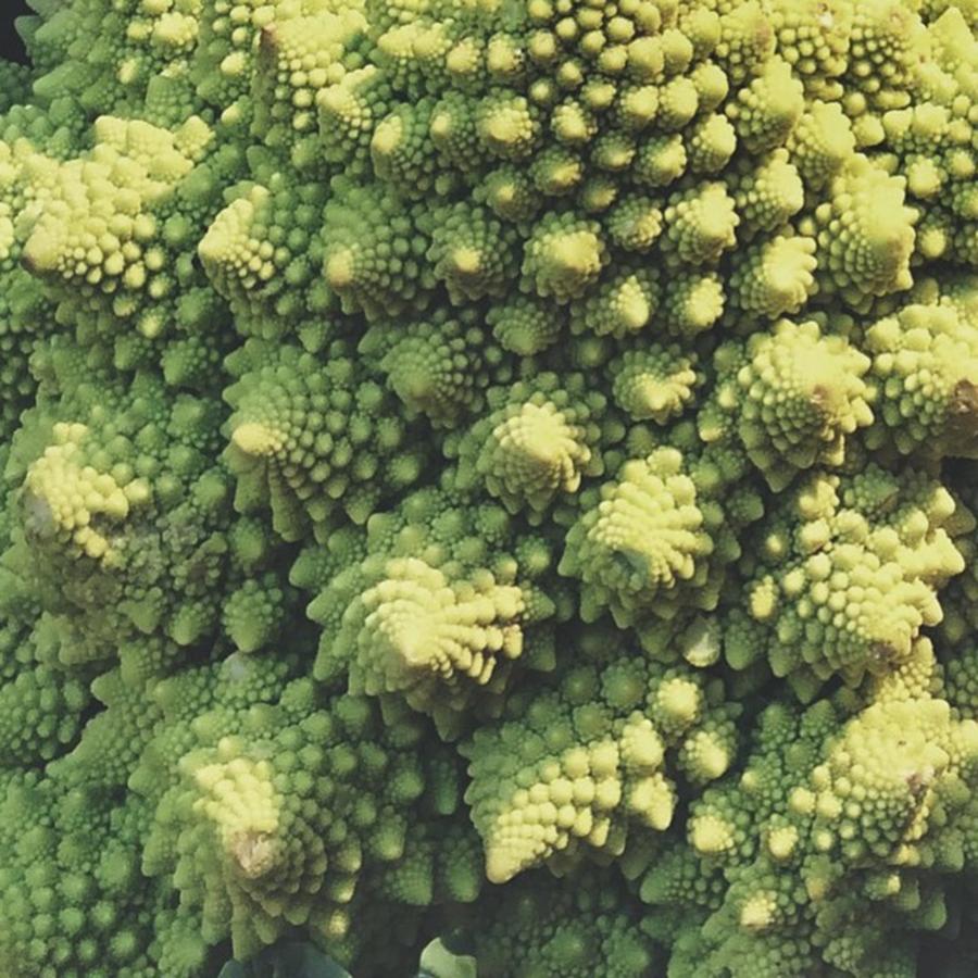 Broccoli Photograph - Farmers Market Fractals by Leia Roberts