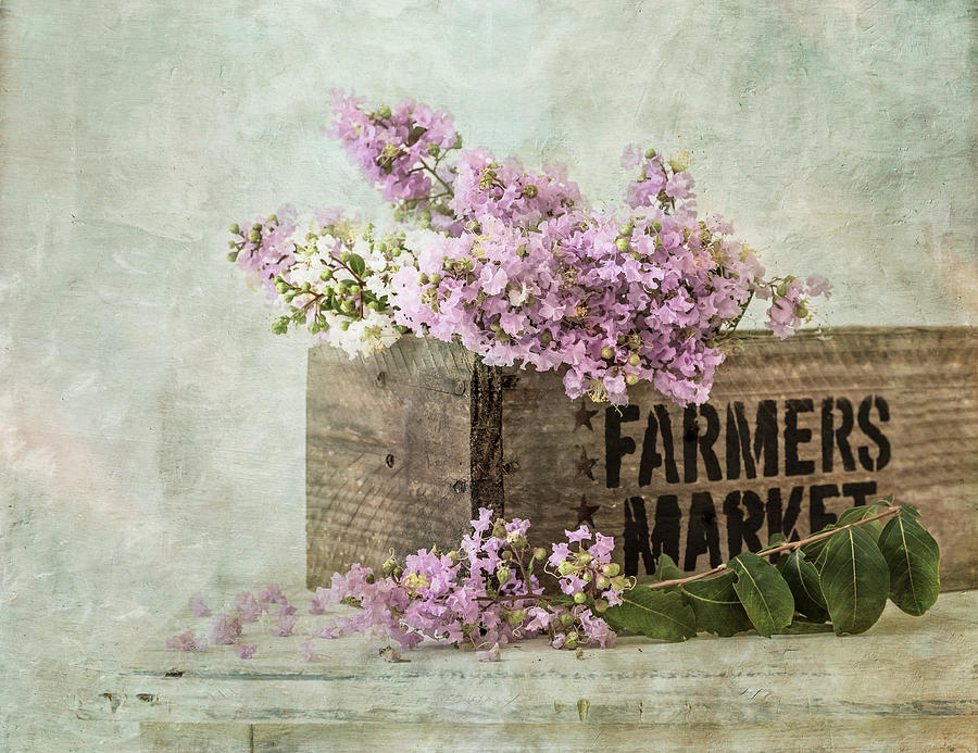 Flower Photograph - Farmers Market by Kim Hojnacki