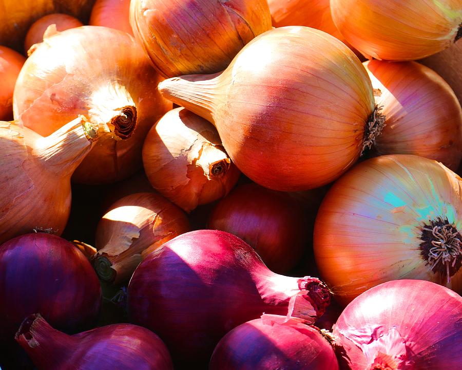 Farmers Market Onions Photograph by Polly Castor