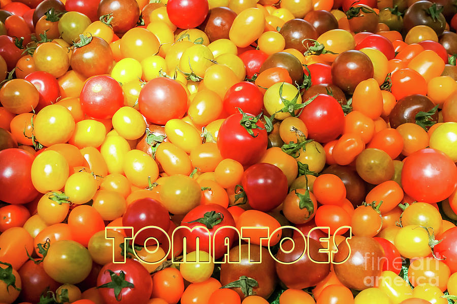 Farmers Market - Tomatoes Photograph by Gabriele Pomykaj