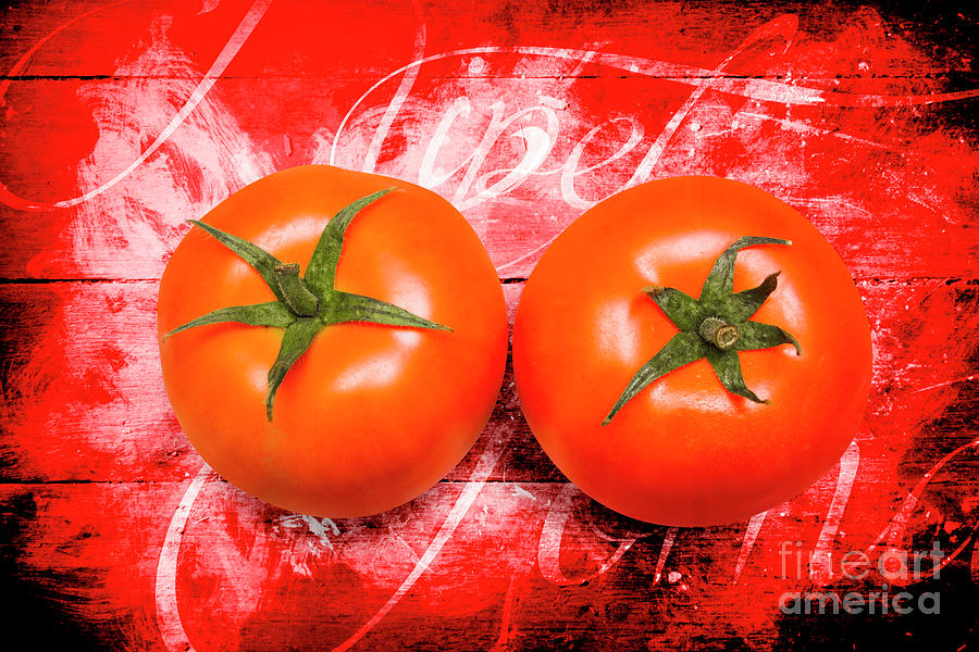 Farmers Market Tomatoes Photograph