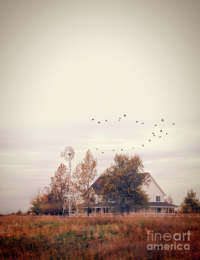 Farmhouse and Windmill Photograph by Jill Battaglia