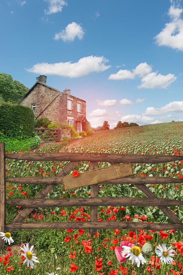 Poppy Photograph - Farmhouse In Poppy Field by Amanda Elwell