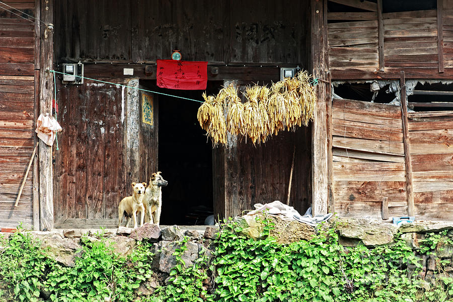 Farmhouse in Rural Guizhou Photograph by Charline Xia