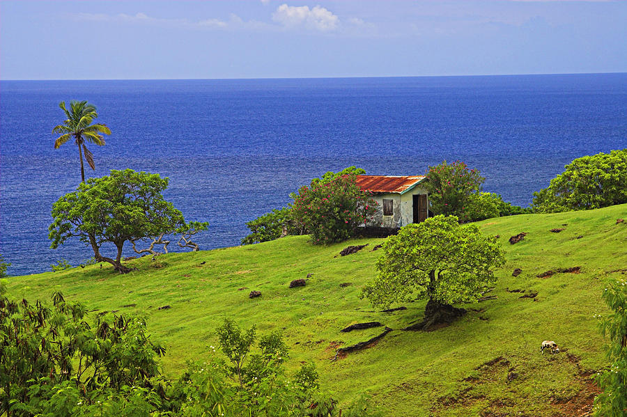 Farmhouse-St Lucia Photograph by Chester Williams