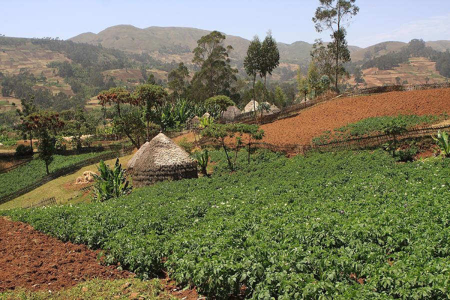 Highland Village, Guge Mountains, Ethiopia Photograph by Aidan Moran