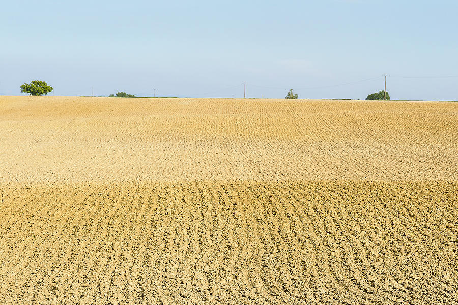 Farming field in the Dombes - 1 - France Photograph by Paul MAURICE