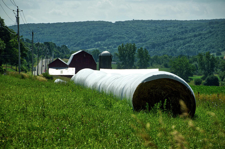 Farming Finger Lakes New York 15 Photograph by Thomas Woolworth