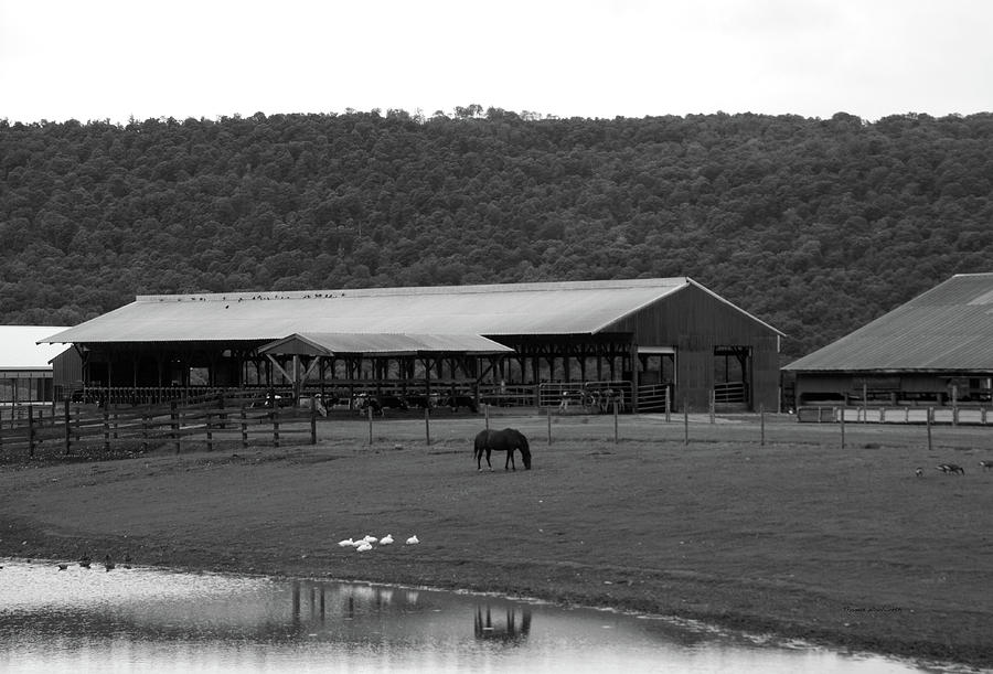 Farming Finger Lakes New York BW 02 Photograph by Thomas Woolworth