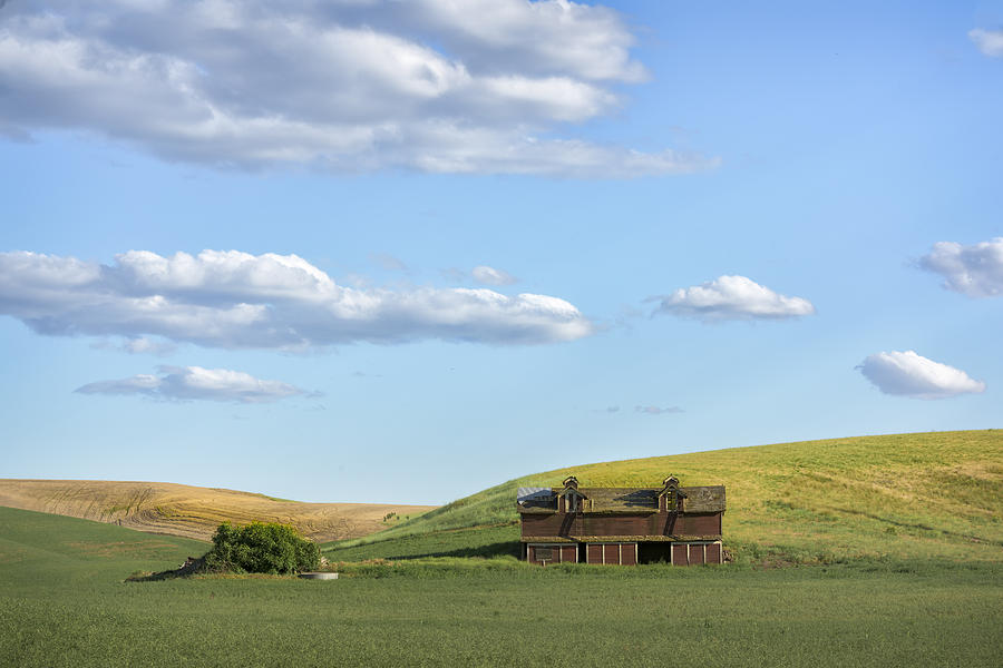 Farming in Washington Photograph by Jon Glaser