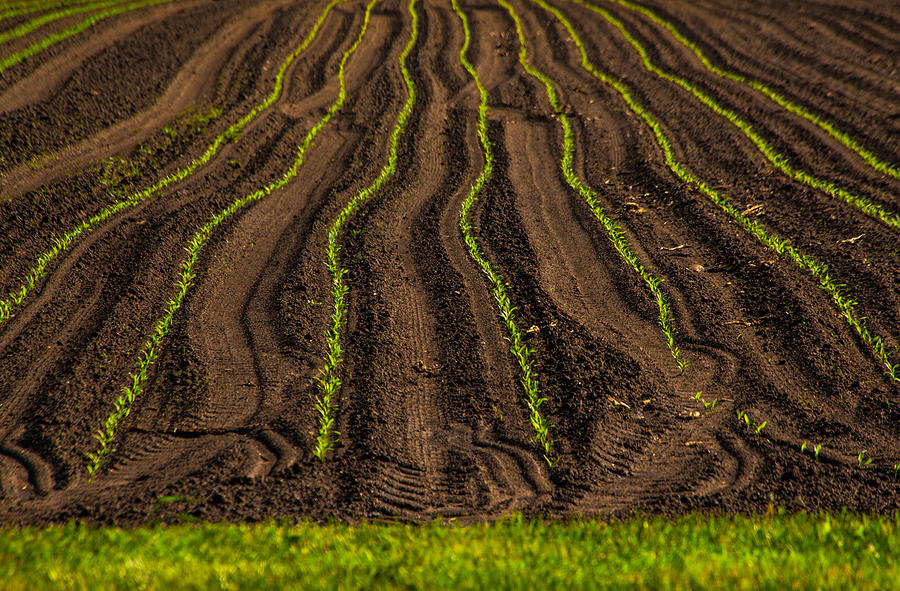 Abstract Photograph - Farming Lines by Karol Livote