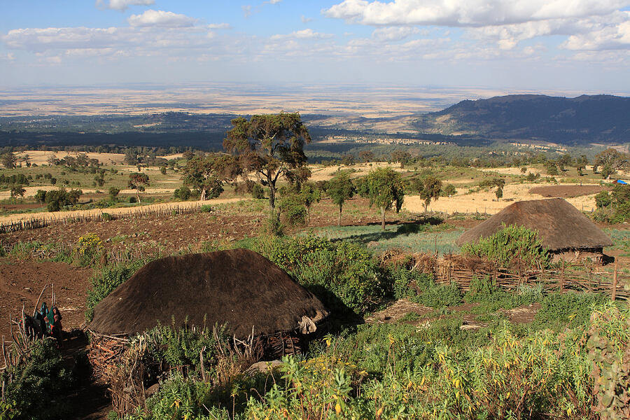 Farming Village, Ethiopia Photograph by Aidan Moran