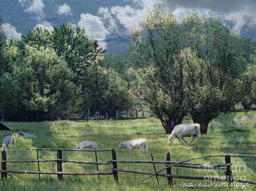 Farm Animals Photograph - Farmland by Bobbee Rickard