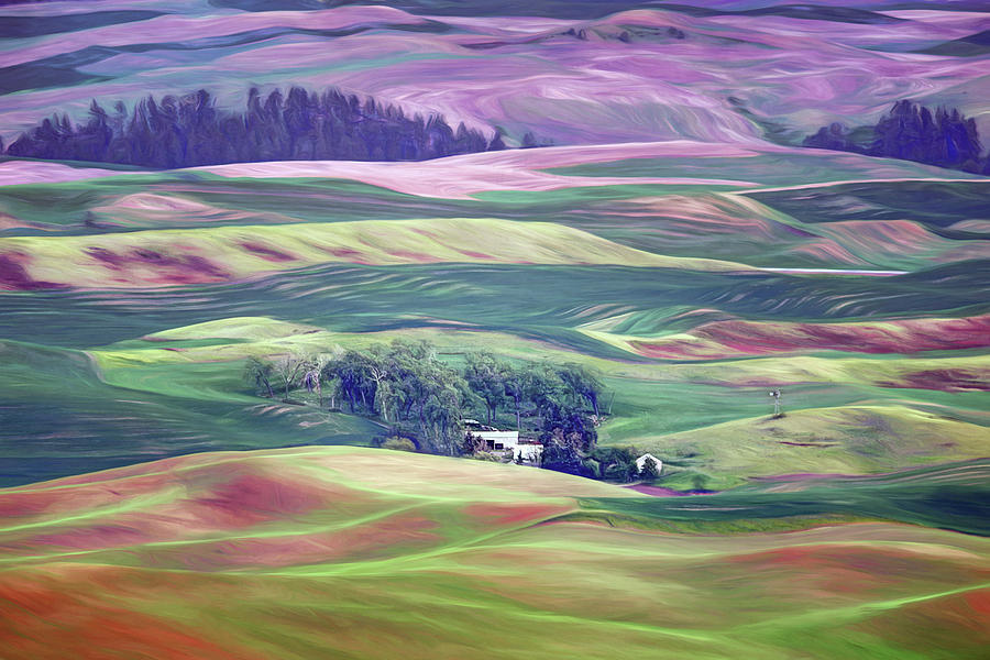 Farmland Colors - No. 1 Photograph by Nikolyn McDonald