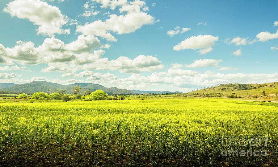 Nature Photograph - Farmland colour by Jorgo Photography