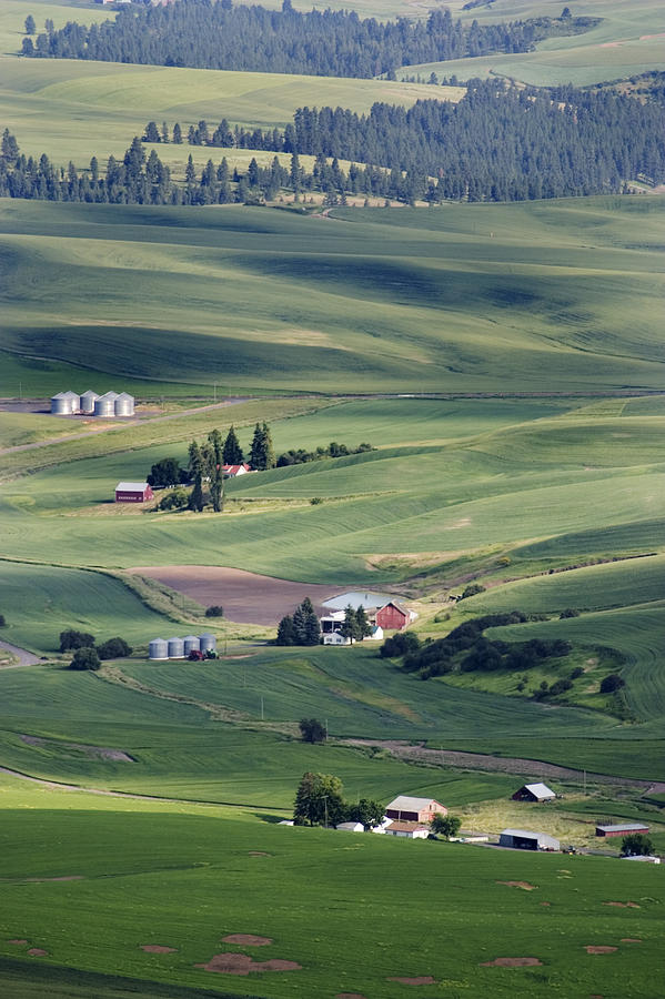 Farmland In Eastern Washington State Photograph